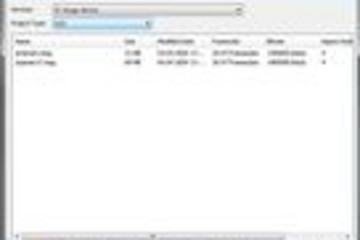FoxBurner SDK预览：